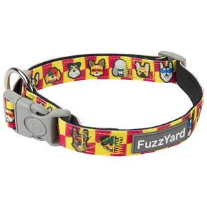 FuzzYard, Dog Collars & Harnesses, Doggoforce Collar (3 Sizes)