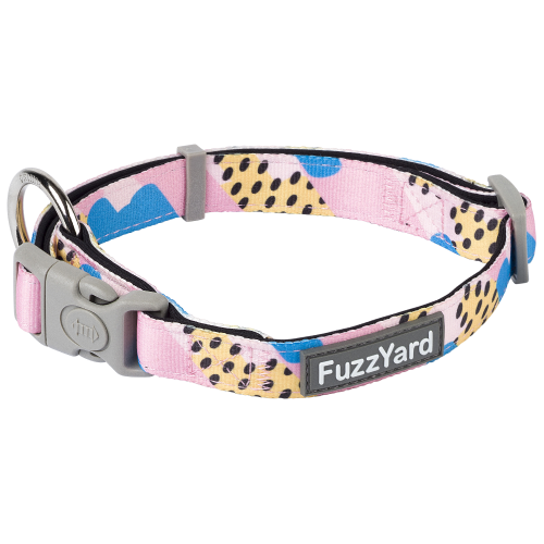 FuzzYard, Dog Collars & Harnesses, Jiggy Collar (3 Sizes)
