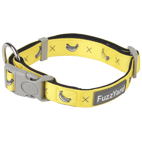 FuzzYard, Dog Collars & Harnesses, Monkey Mania Collar (3 Sizes)